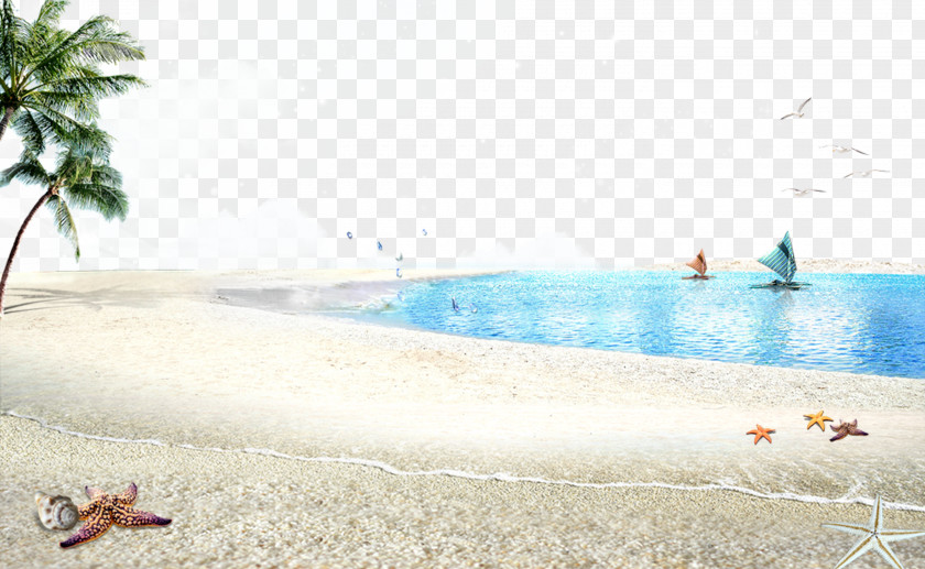 Beach Ocean Background Poster Accommodation PNG