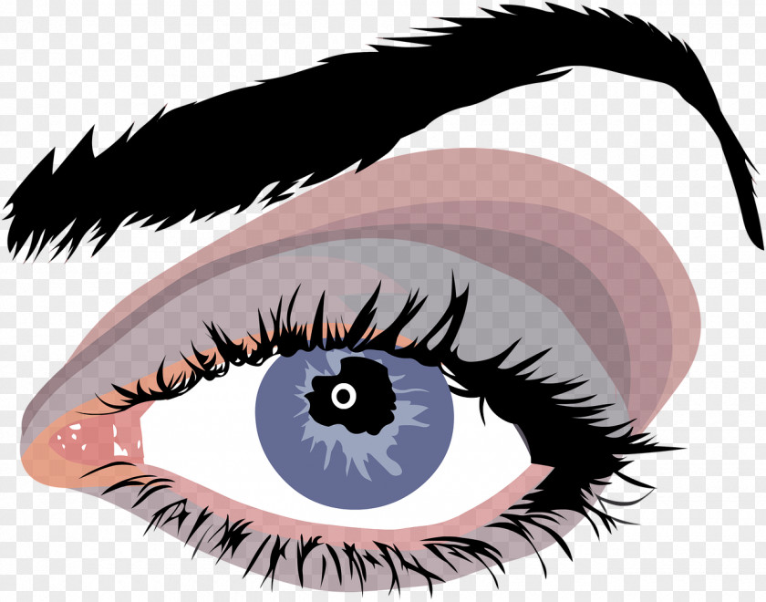 Eyes Eye Color Eyebrow Human PNG