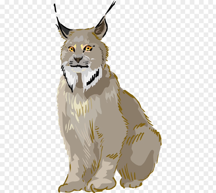 Lynx Cliparts Eurasian Whiskers Bobcat Canada Clip Art PNG