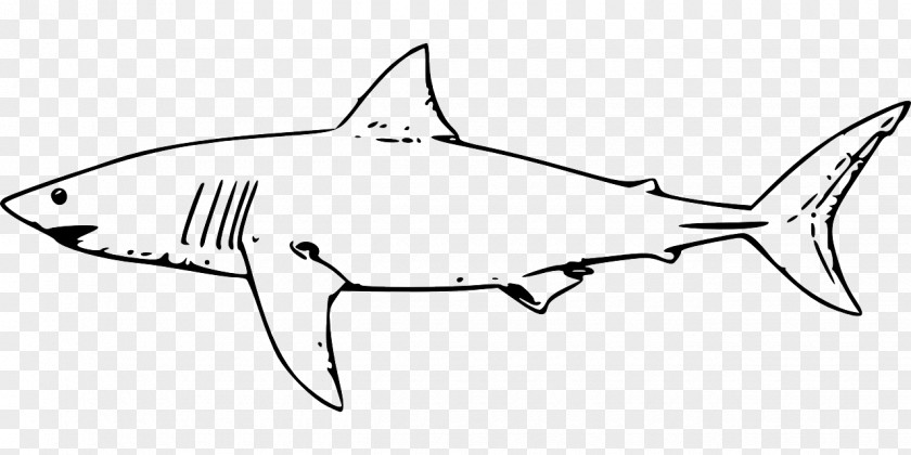 Shark Great White Coloring Book Sand Tiger PNG