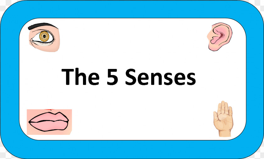 Eye The Five Senses Taste Game PNG