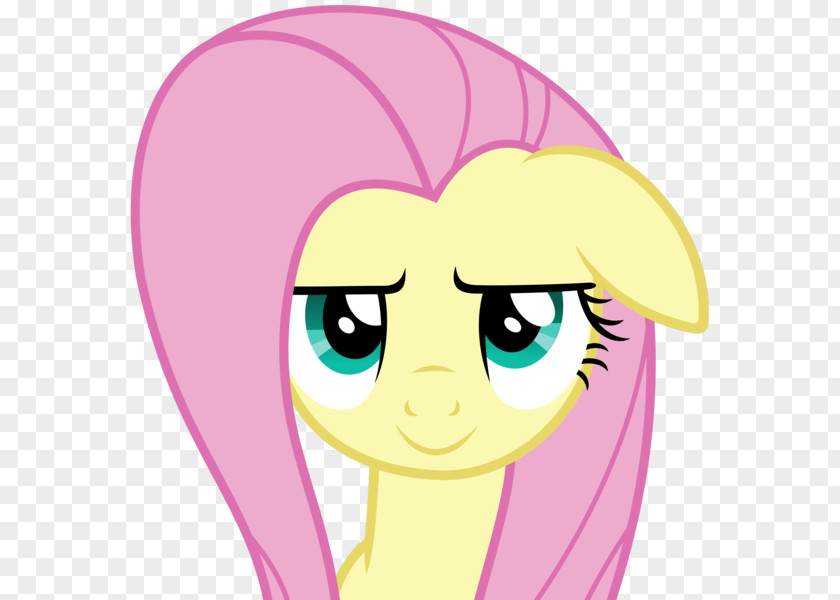 Fluttershy Pinkie Pie Applejack Rainbow Dash Derpy Hooves PNG