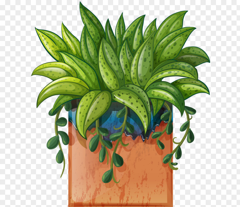 Potted Plants Houseplant Flowerpot Clip Art PNG