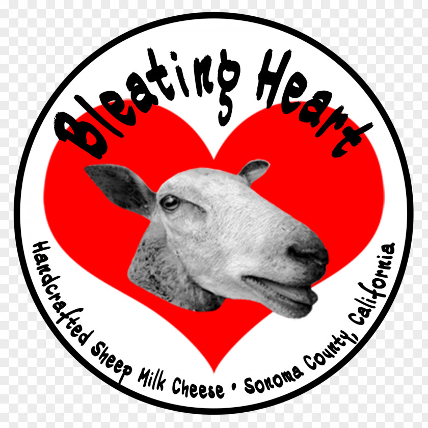 Sheep Milk Cheese Goat Cattle PNG