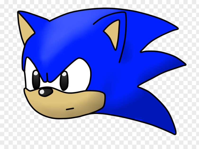 Sonic Dash Adventure The Hedgehog Shadow Drawing PNG