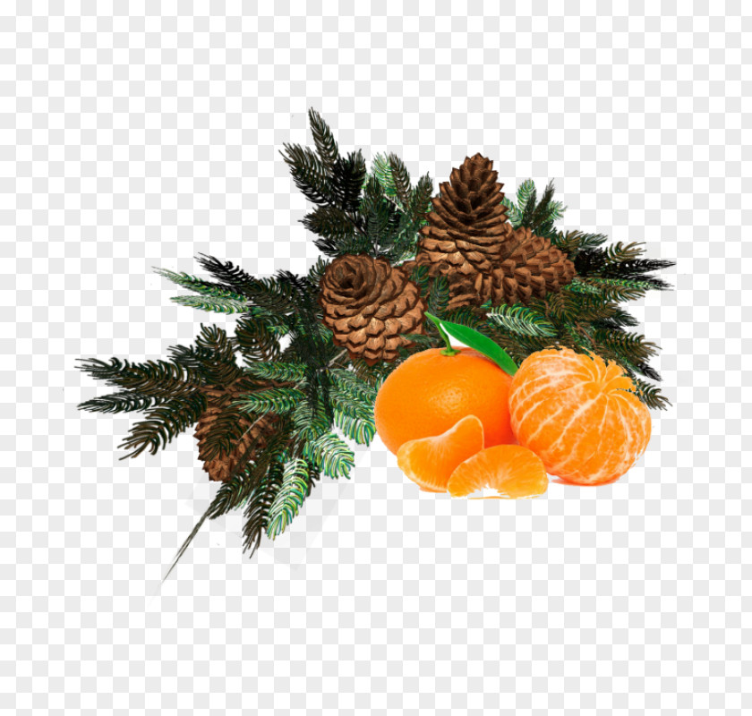 Vegetable Christmas Decoration And New Year Background PNG