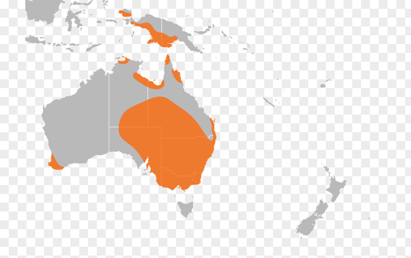 Australia Blank Map Vector World PNG