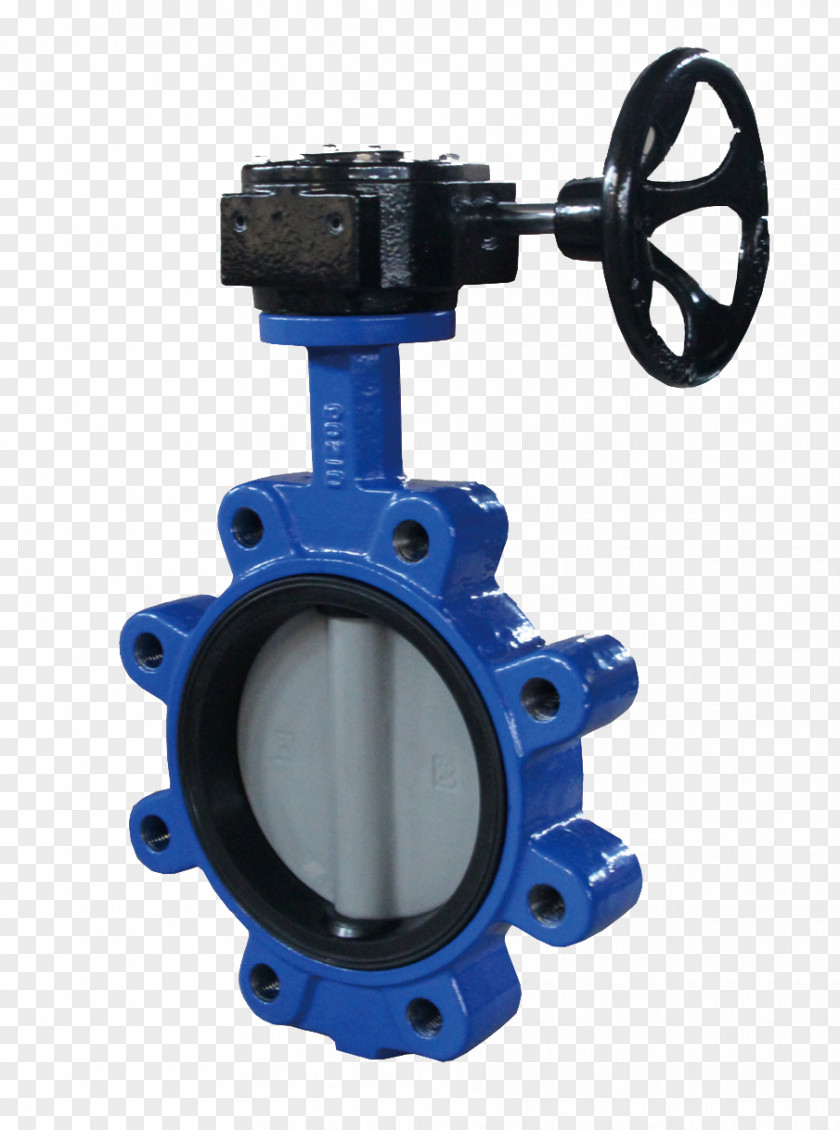 Butterfly Valve Gate Check Flange PNG