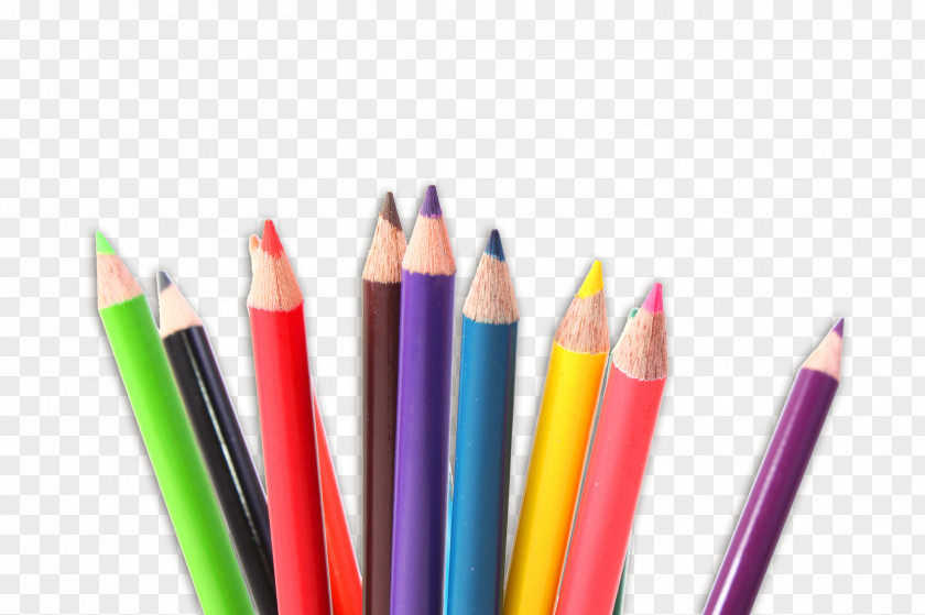 Pencil Colored Drawing Crayon PNG