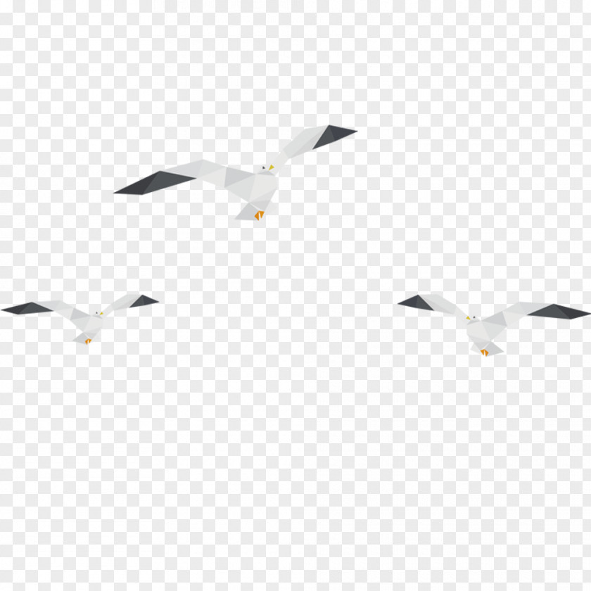 White Gull Line Angle Point Pattern PNG