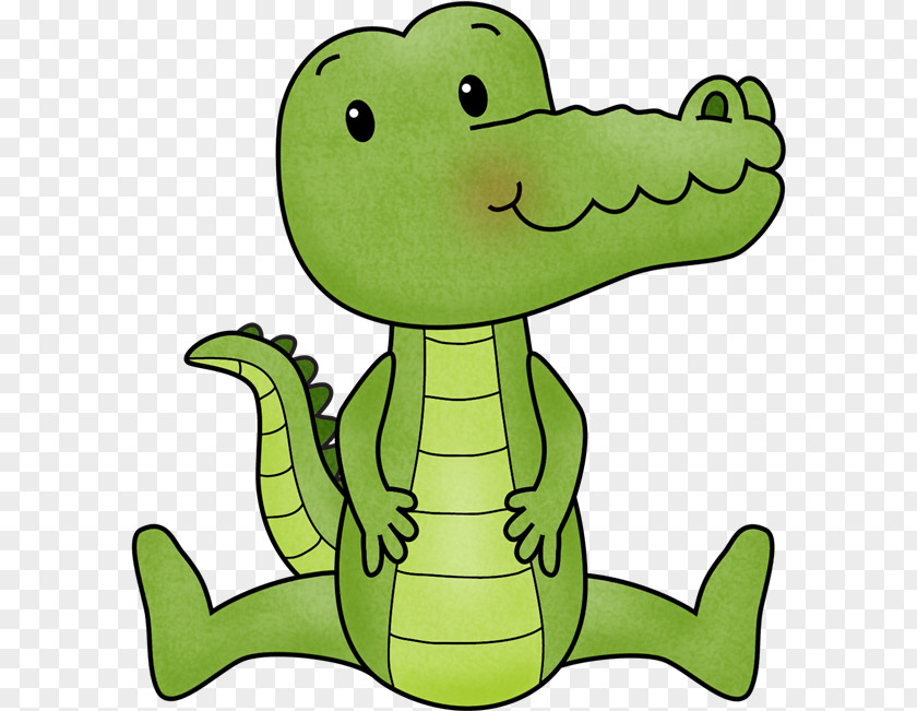 Alligator Crocodiles Elementary School PNG