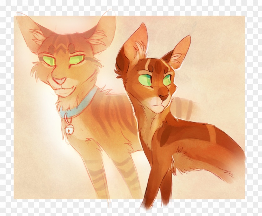 Burr Cat Firestar Warriors Tallstar Graystripe PNG