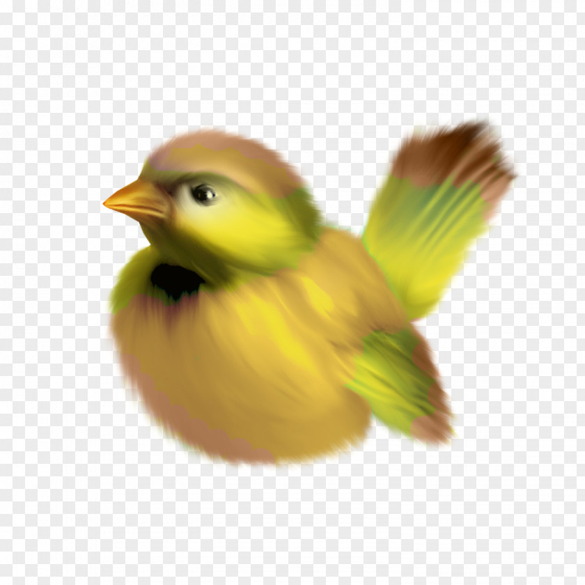 Colored Bird Clip Art PNG