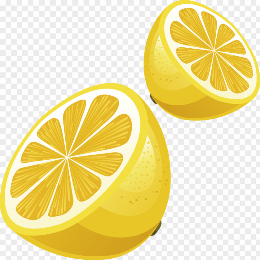 Lemon Vector Material PNG
