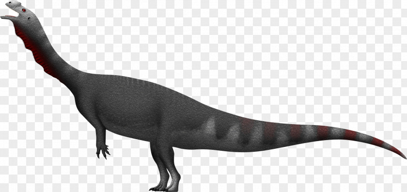 Dinosaur Aardonyx Tyrannosaurus Sinemurian Dracovenator PNG
