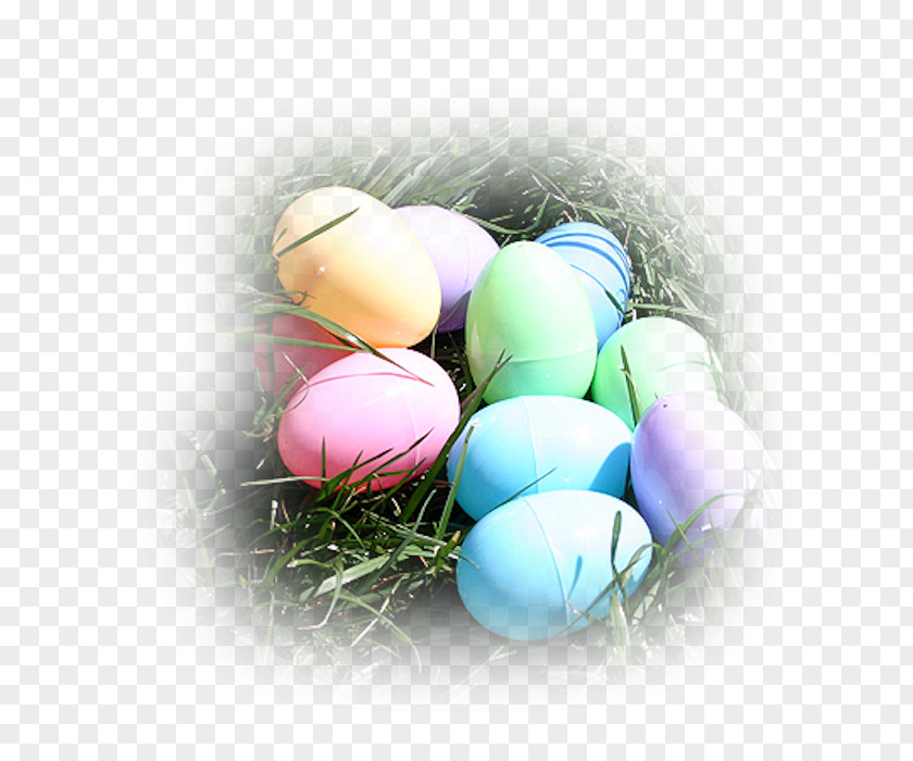 Easter Egg Hunt Child PNG