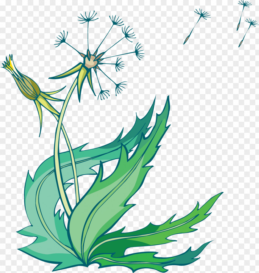 Flower Dandelion Coffee Common Vector Space PNG