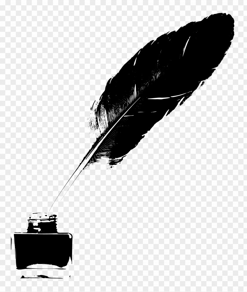 Phrase Quill Writing Feather Art PNG