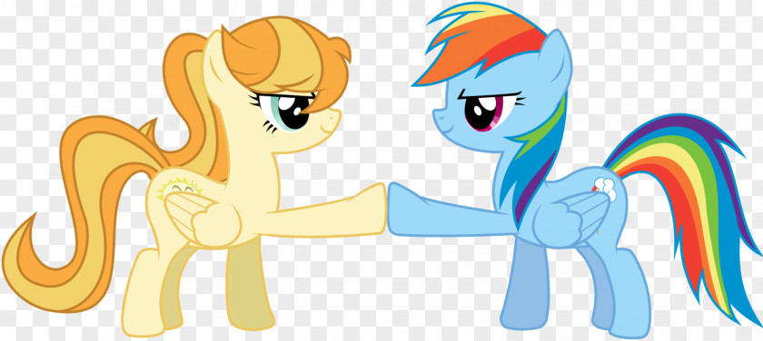 Pony Rainbow Dash Applejack Fluttershy Cutie Mark Crusaders PNG