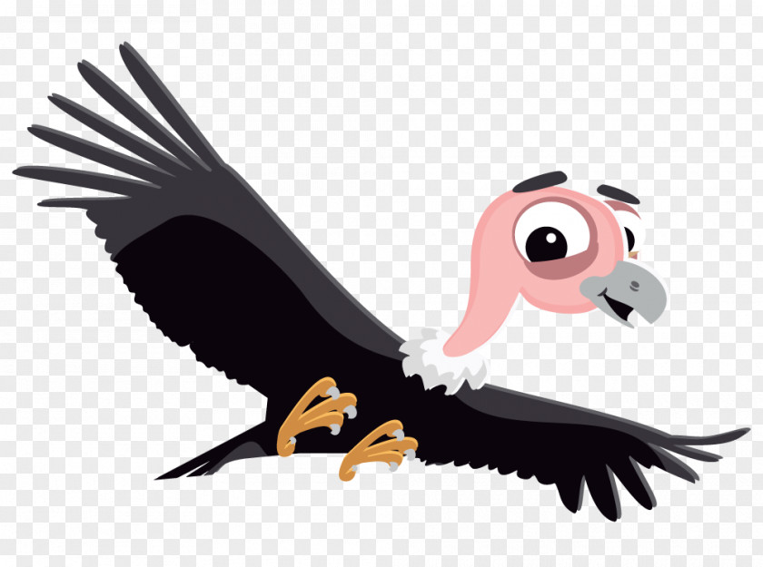 Vulture Cliparts Colca Canyon Bird Andean Condor Desktop Wallpaper PNG