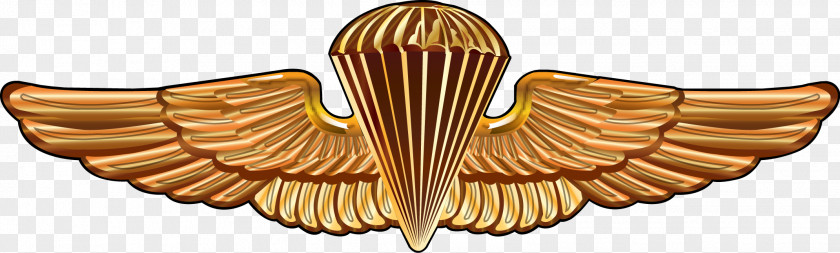 Wings United States Army Airborne School Navy SEALs Parachutist Badge PNG