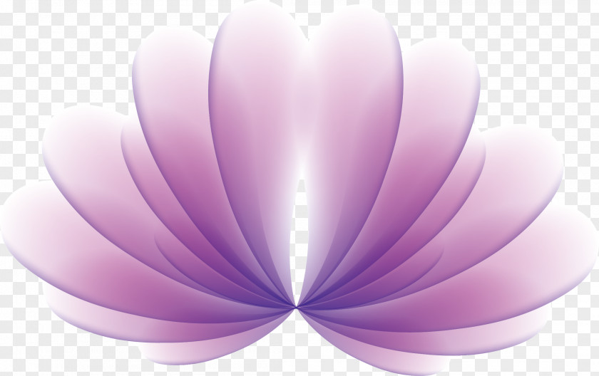 Fan-shaped Flowers Vector PNG