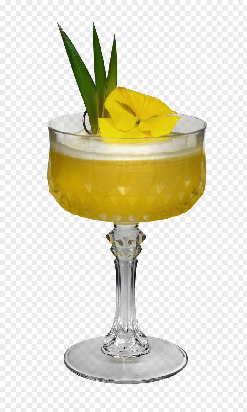 Mai Tai Bromeliaceae Pineapple Cartoon PNG