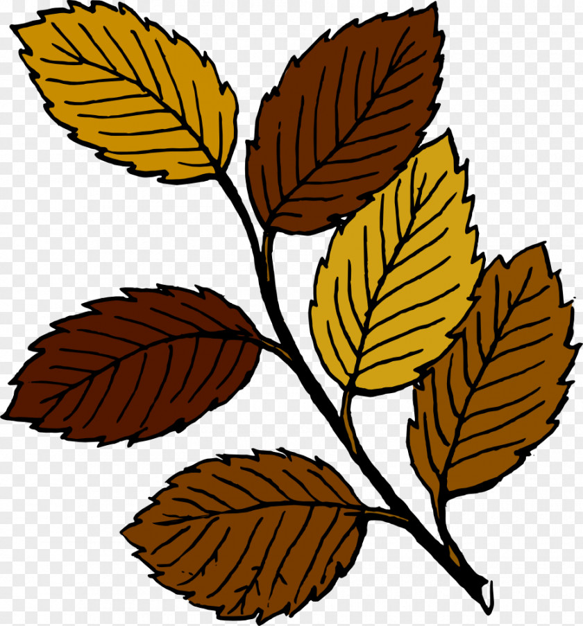 Autumn Leaf Clipart Free Content Clip Art PNG