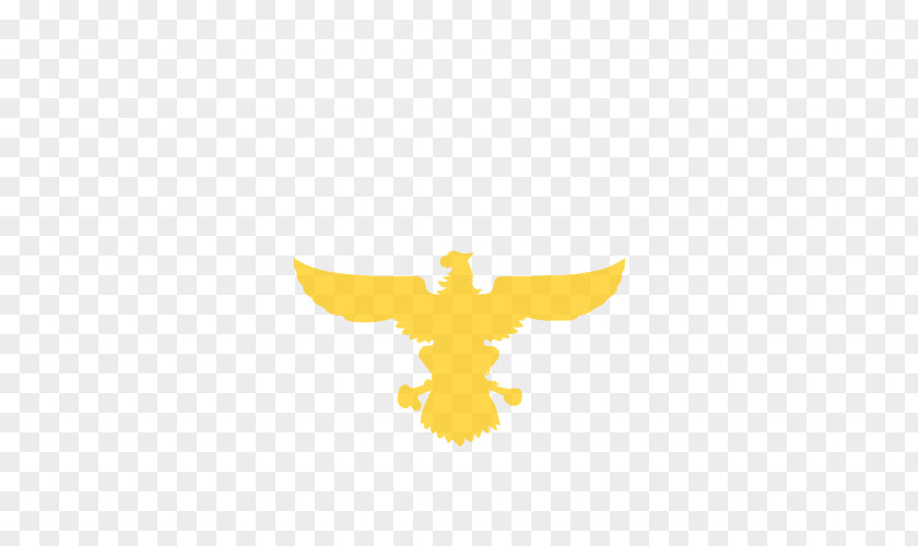 Bird Of Prey Logo Beak Desktop Wallpaper PNG