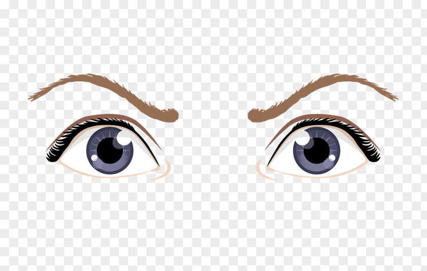 Eye Eyebrow Visual Perception Drawing PNG