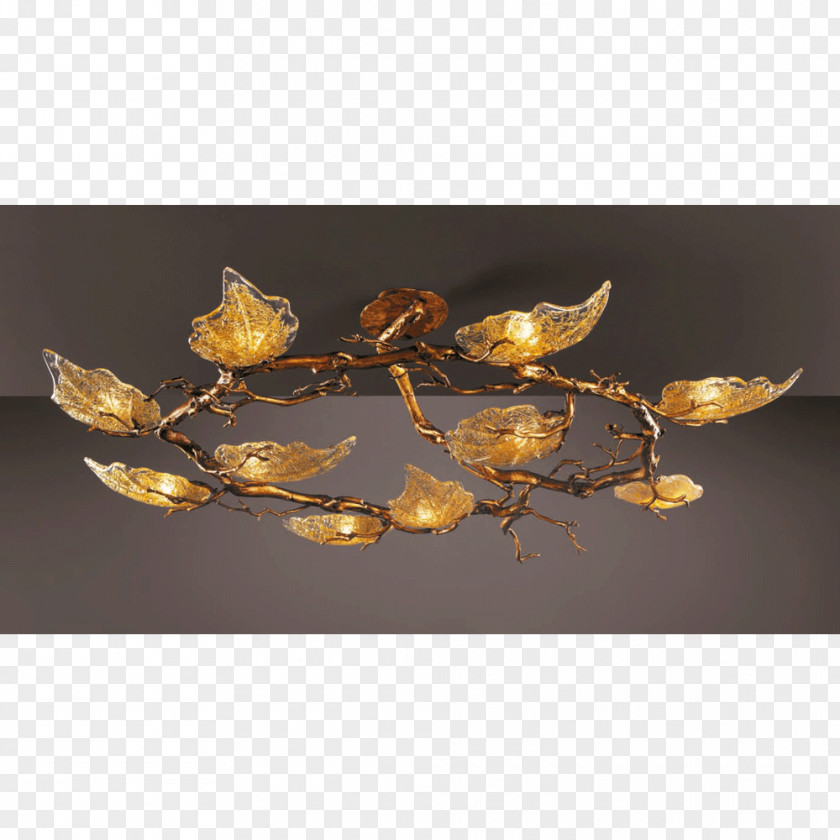 Light Fixture シーリングライト Lighting Ceiling PNG