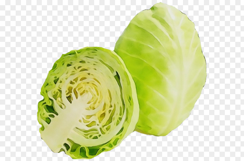Cabbage Iceburg Lettuce Vegetable Leaf Wild PNG