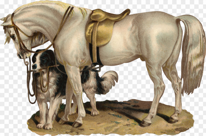 Horse Bokmärke Clip Art PNG