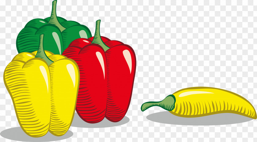 Vegetable Health Decoration Pattern Tabasco Pepper Bell Cayenne PNG
