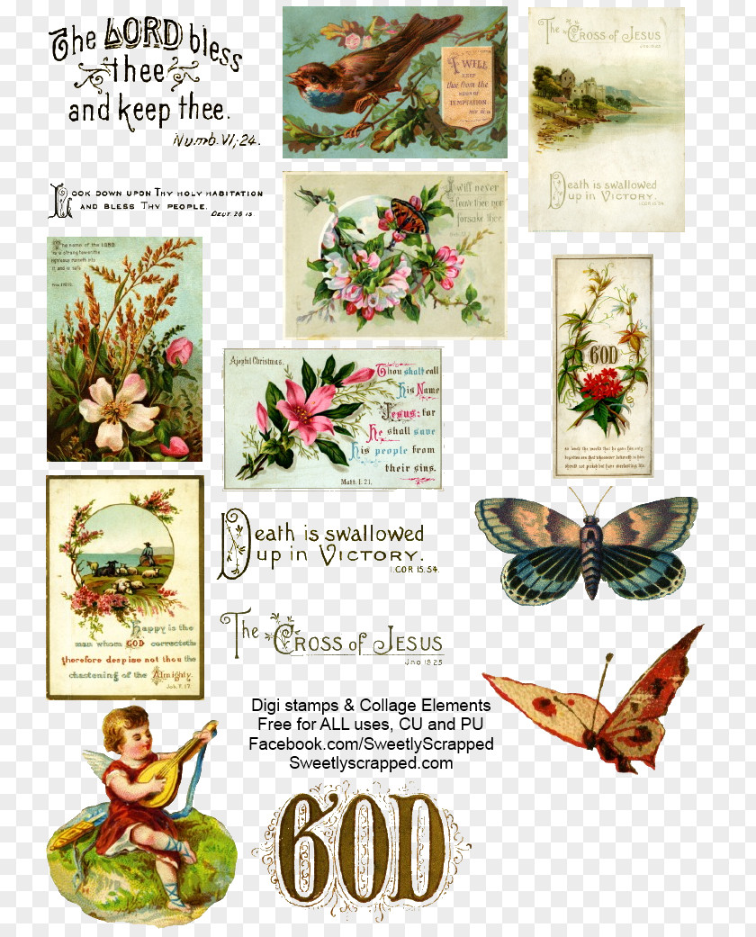 Elements Of Collage Floral Design Author Victorian Era PNG