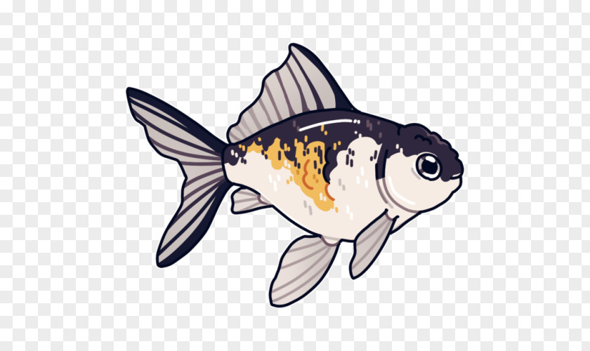 Fish Bony Fishes Fauna Marine Biology Clip Art PNG
