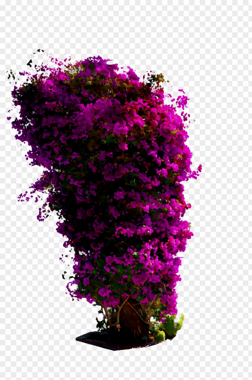 Floral Design Cut Flowers Flowerpot Petal PNG
