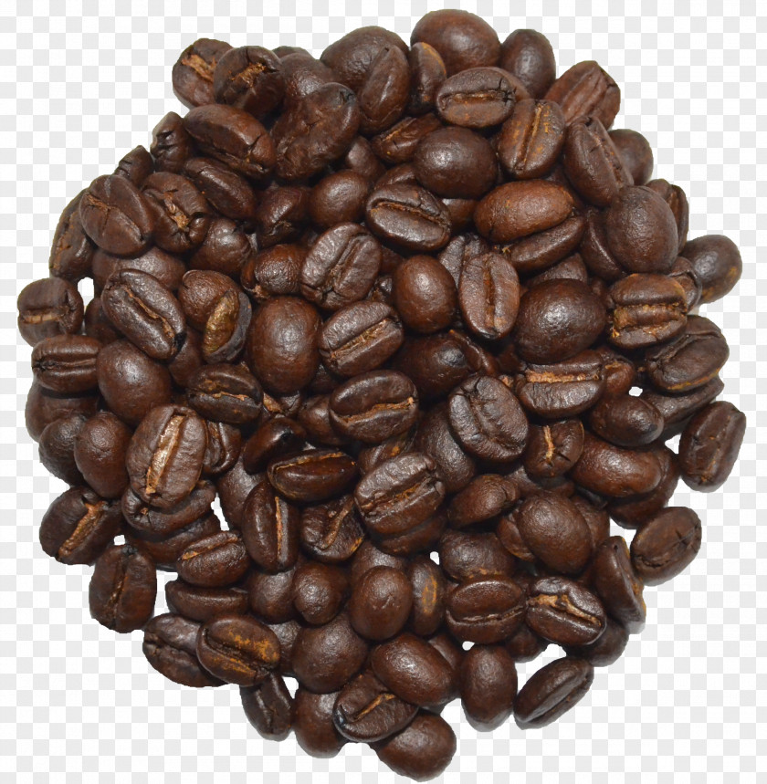 Monsoon Wood Malabar Aa Jamaican Blue Mountain Coffee Cocoa Bean Sierra Maestra Arabica PNG