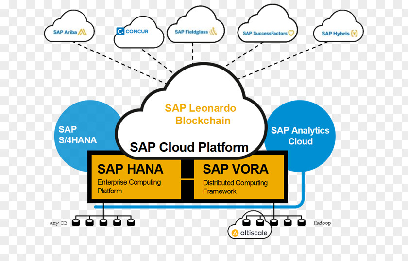 Deloitte Logo Hyperledger SAP SE Leonardo Cloud Platform HANA PNG