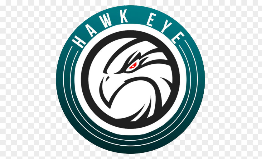 Design Logo Hawk PNG