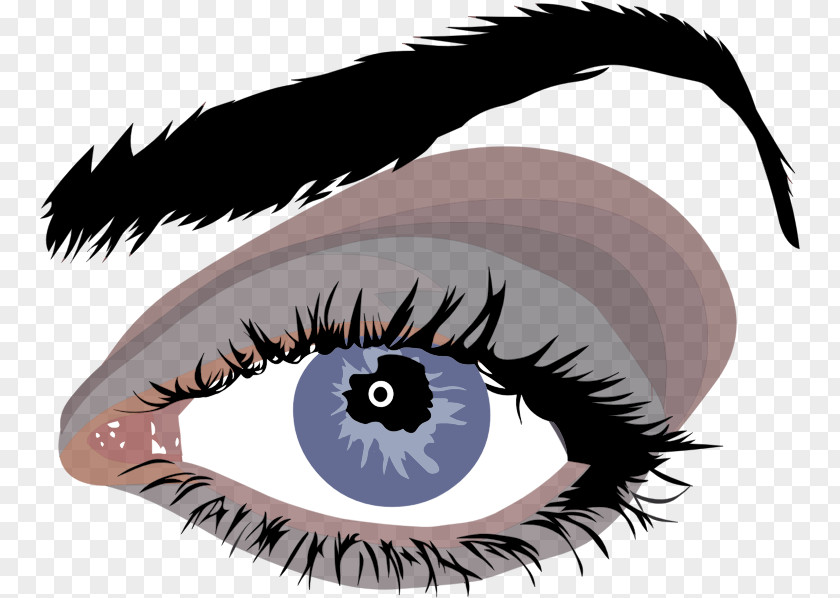 Eye Clip Art Eyelash Vector Graphics Human PNG
