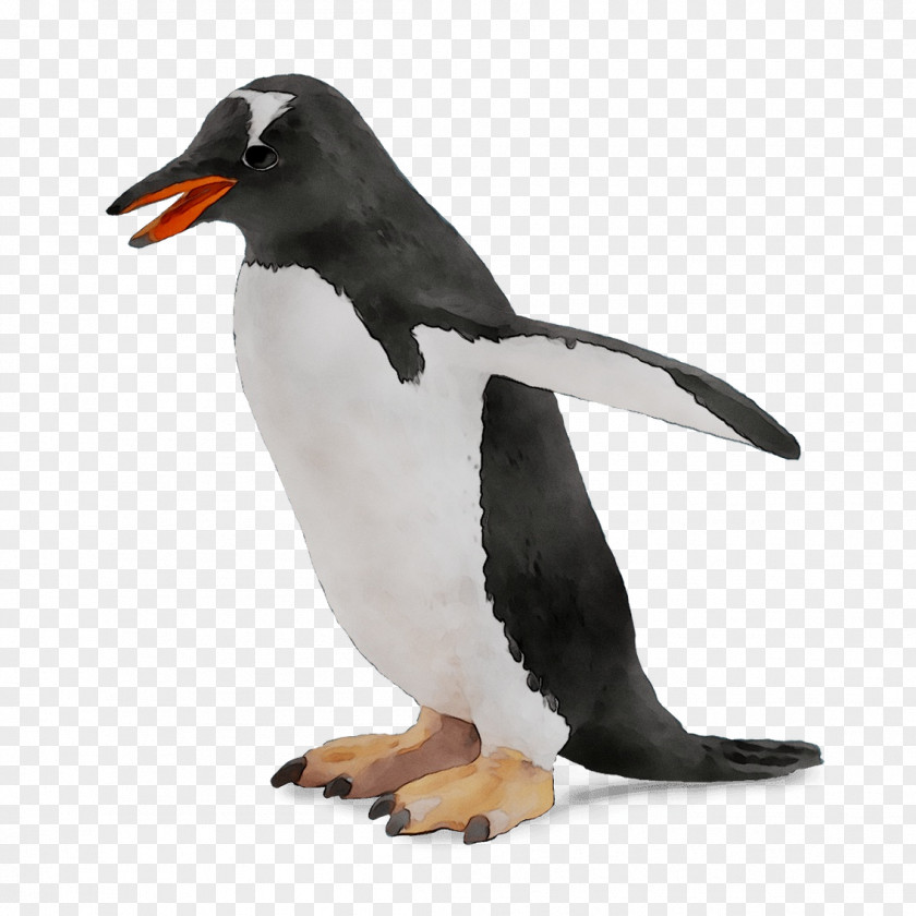 King Penguin Seabird Neck PNG