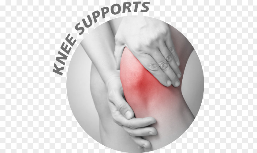 Patella Zazzle Paper Physical Therapy Knee Joint PNG