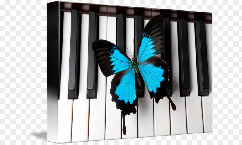 Piano Flower Dance Pianist Google Maps Business PNG