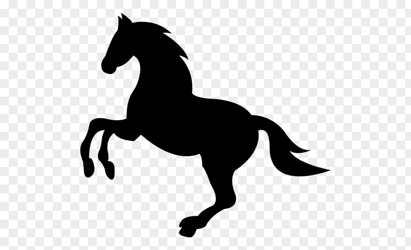 Wild Vector Horse Dog Equestrian PNG