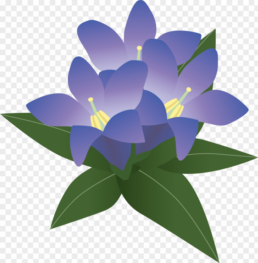 Green Leaves And Purple Flowers Illustration PNG