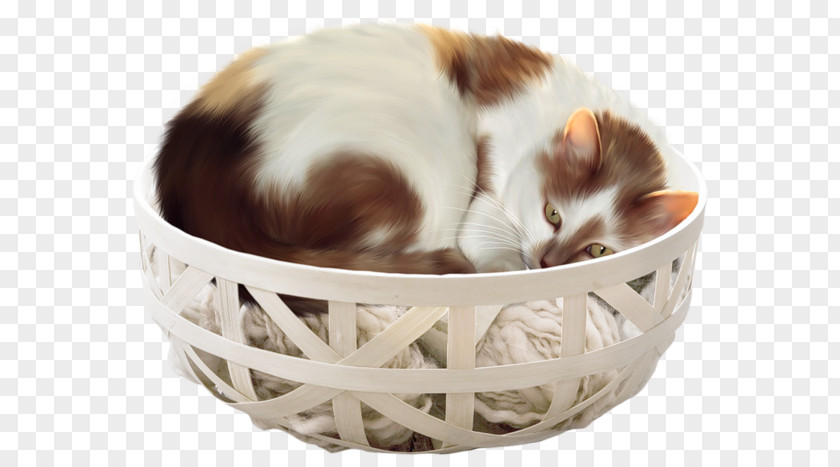 Basket Sleeping Cat Kitten Diary Clip Art PNG
