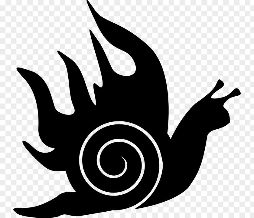 Snail Clip Art PNG