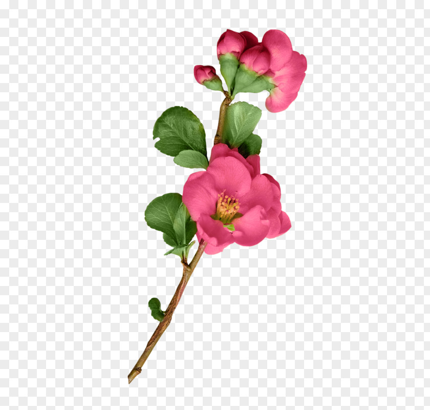 Flower Garden Roses Artificial Cut Flowers Plant Stem PNG