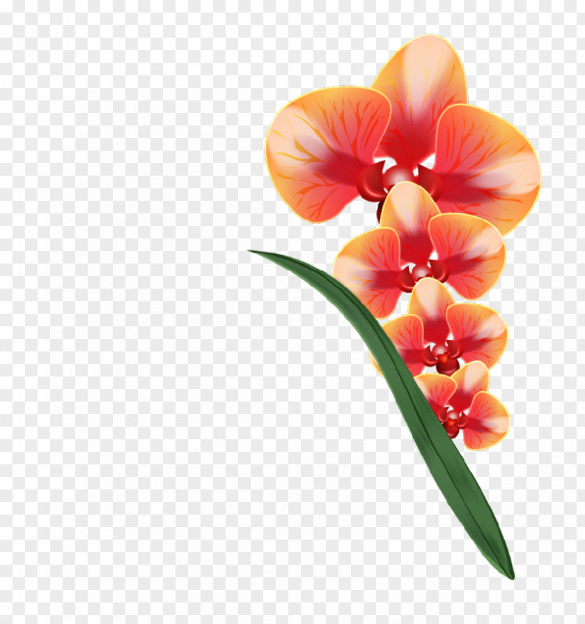 Realistic Vector Cut Flowers Sticker Clip Art PNG